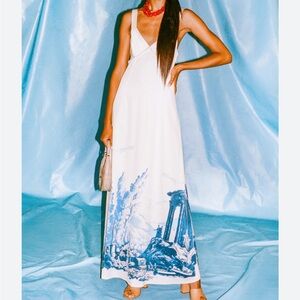 Staud Ready To Wear Ilaria Dress (wave / ocean print) NWT